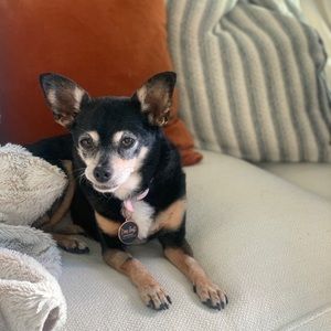 Meet your Posher, Jenna